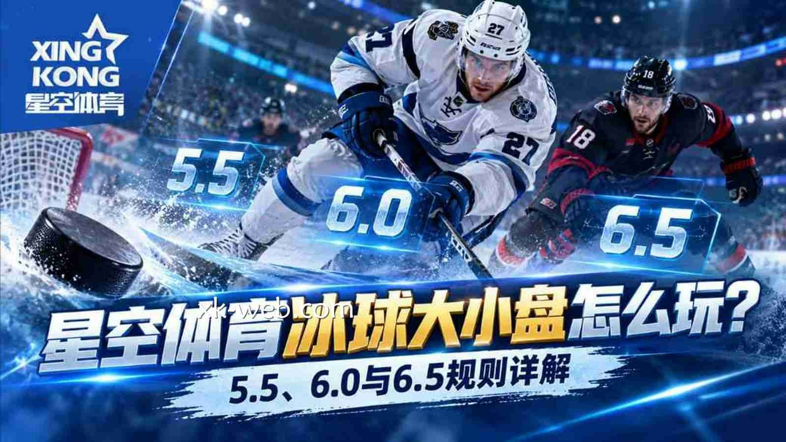 星空体育冰球大小盘怎么玩？5.5、6.0与6.5规则详解