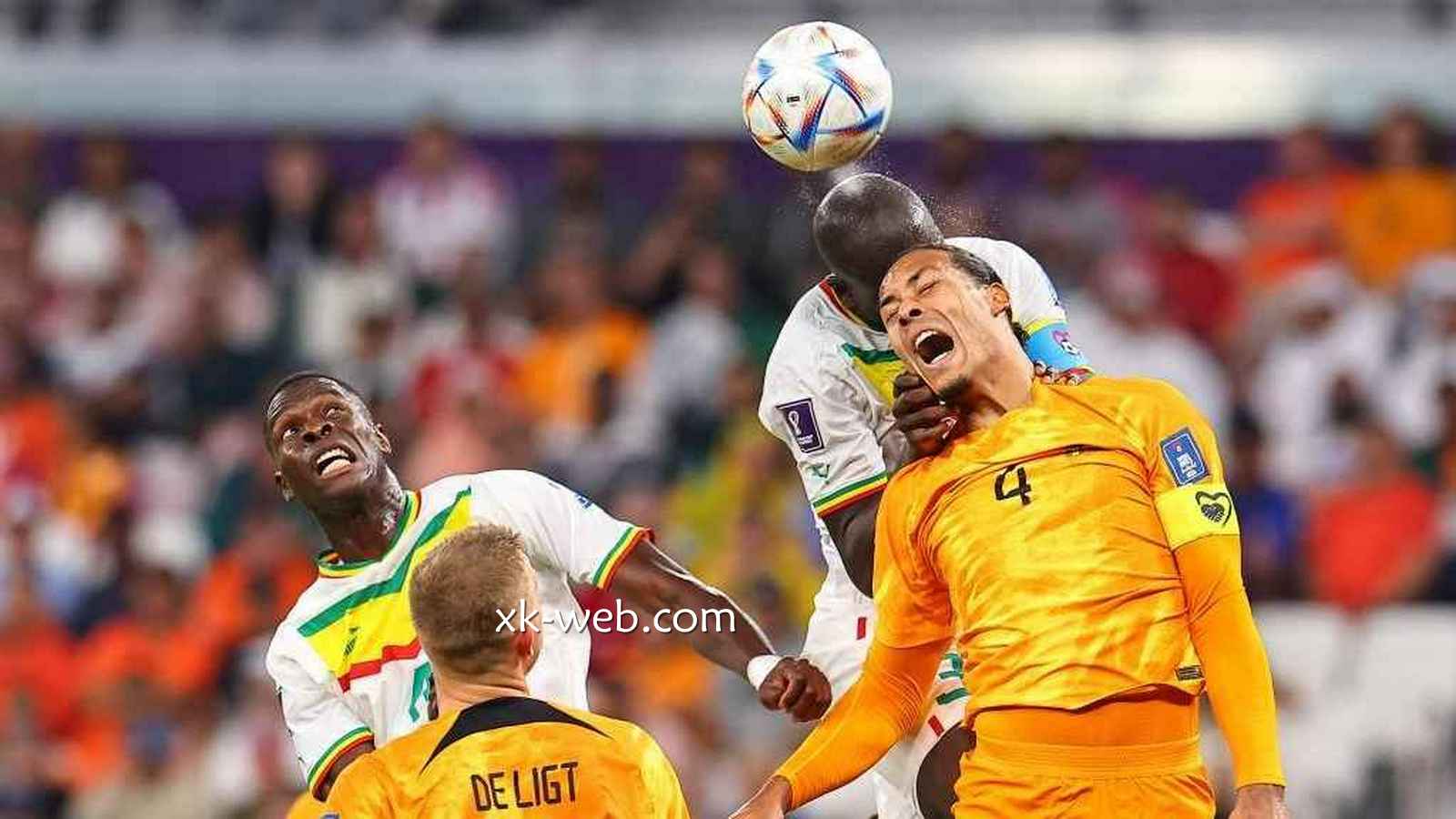 星空体育世界杯荷兰赔率分析：荷兰夺冠赔率23.0是否被低估